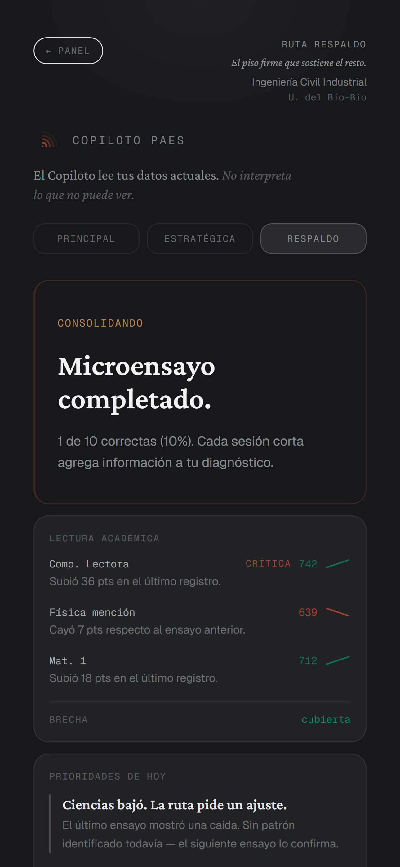 Copiloto PAES — ruta Respaldo